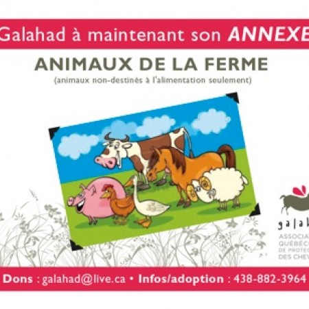 Annexe Ferme