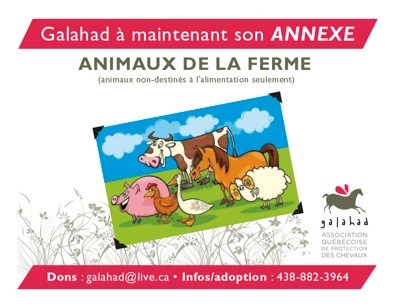 Annexe Ferme